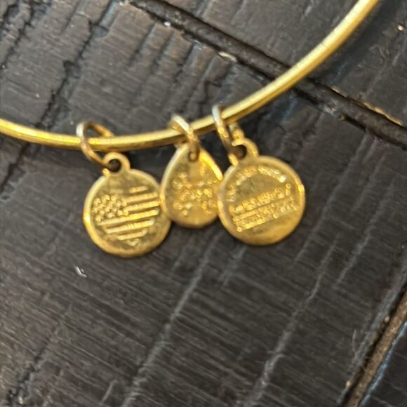 ALEX AND ANI BIRTHSTONE April Crystal CHARM BANGLE GOLD TONE Adjustable - Picture 3 of 6